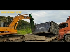 scharen met adelaarsbek