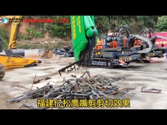 scharen met adelaarsbek